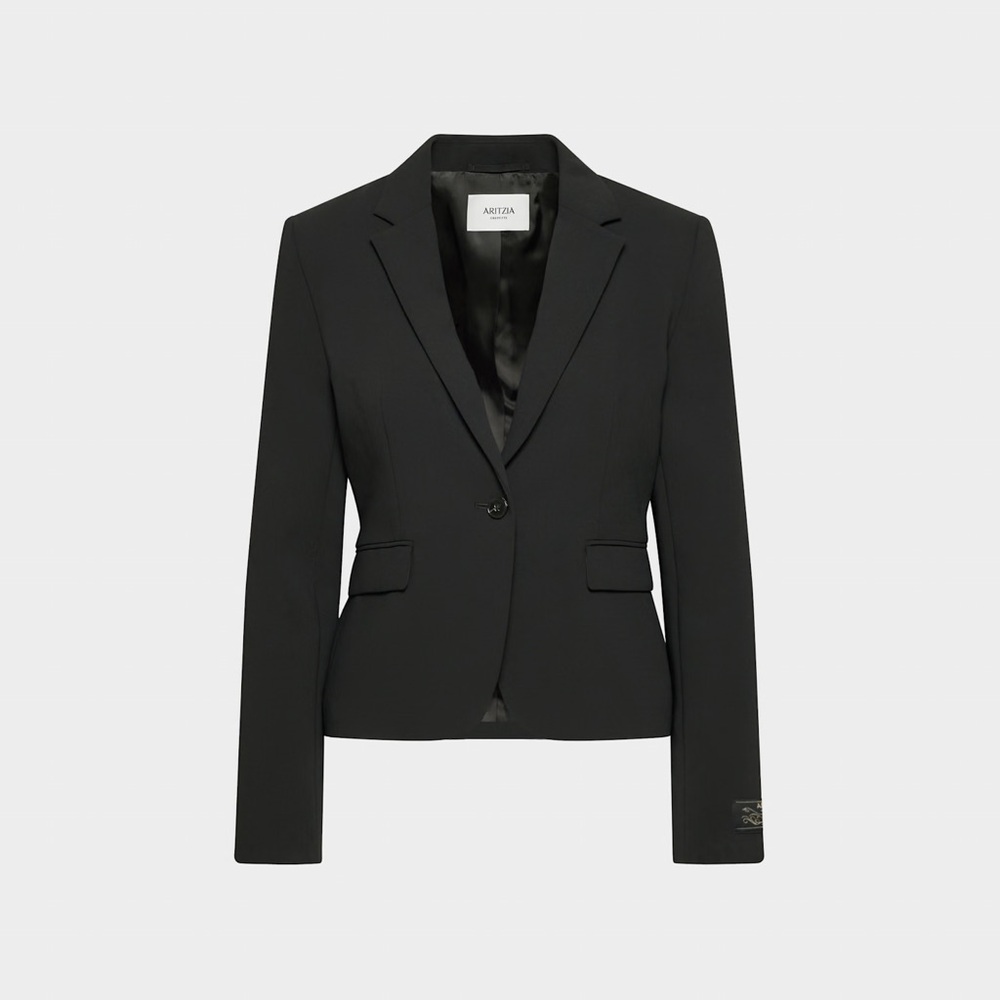 Aritzia Wilfred Etiquette Blazer - Crepette